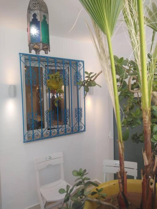 Cosy Appartement In "Sidi Bou Said" 외부 사진