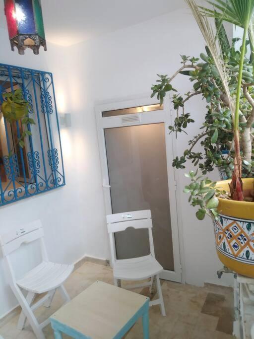 Cosy Appartement In "Sidi Bou Said" 외부 사진