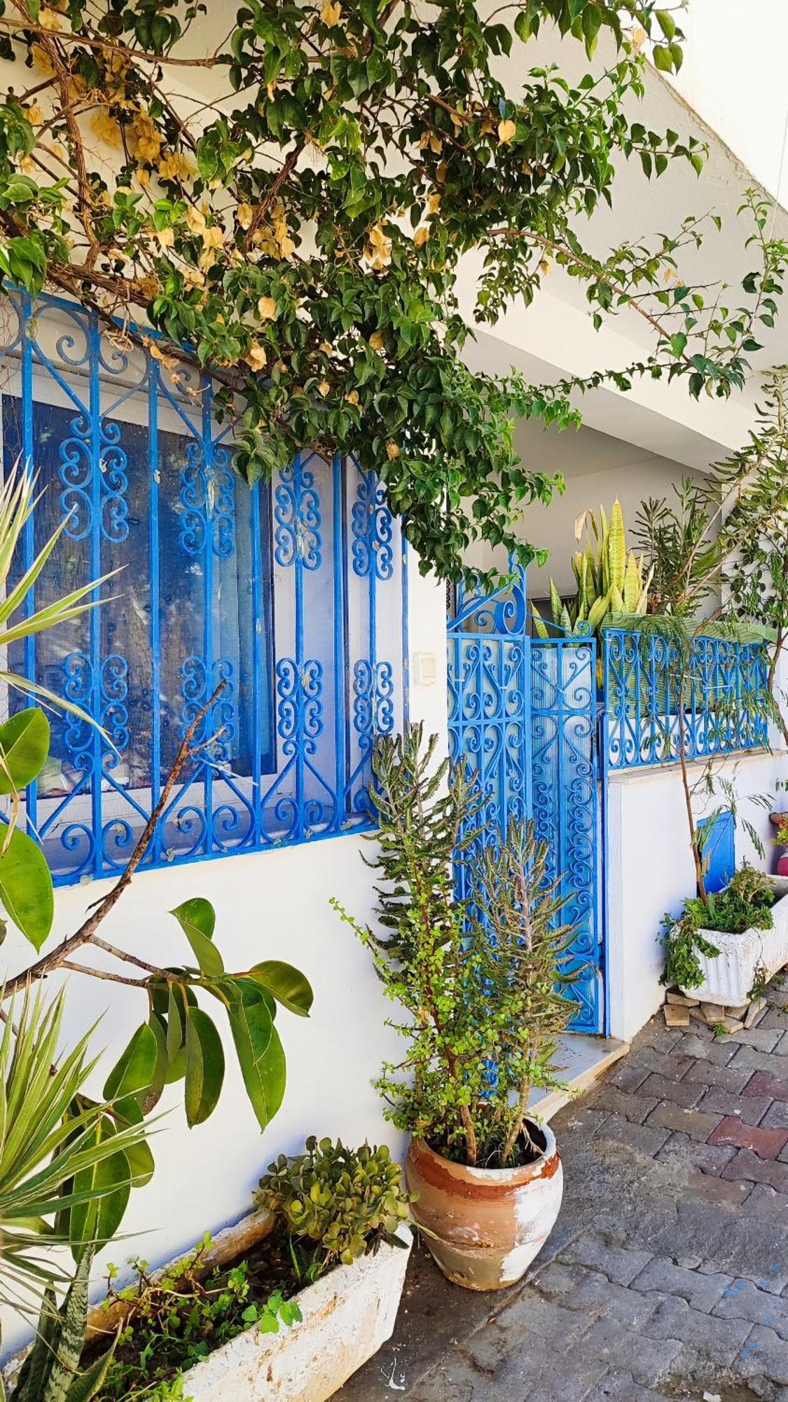 Cosy Appartement In "Sidi Bou Said" 외부 사진