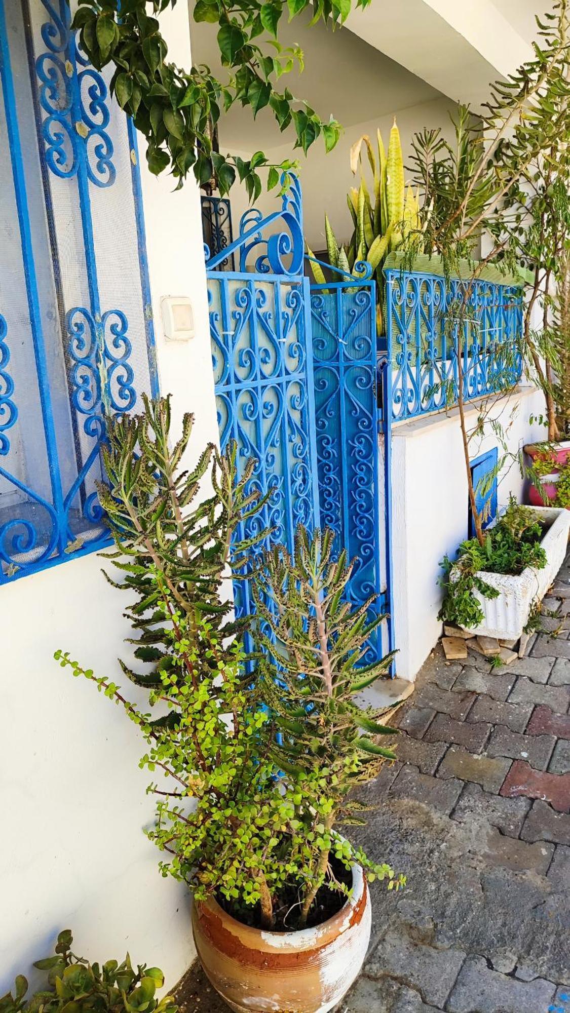Cosy Appartement In "Sidi Bou Said" 외부 사진